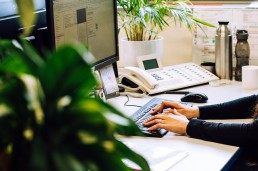 Ausbildung zum Kaufmann für Büromanagement (m/w/d)